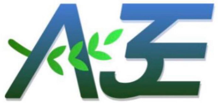 A3E